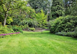 Optimiser l'expérience du jardin à Senarpont